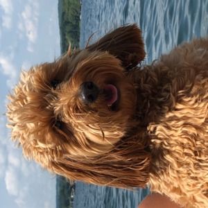 Meet your Posher, Sara